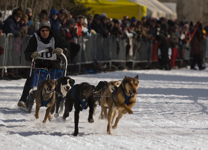 2009-03-14, Competition de traineaux a chiens au Bec-scie (112036).jpg - Au départ